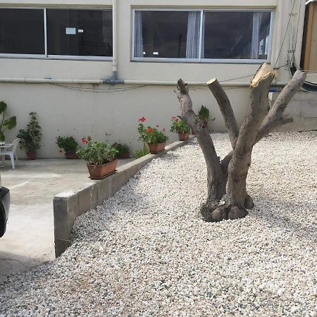 איה נאפה Ellenapa Apts & Studios מראה חיצוני תמונה